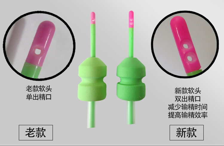 母猪深部输精管到底有多大好处？解剖母猪子宫给您细细讲解！