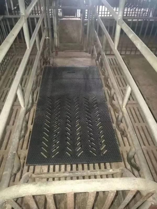 高淳龟背纹夹布仔猪用防滑保温橡胶垫6mm-12mm服务到家