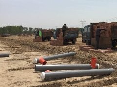 犍为养殖场猪用粪塞查看