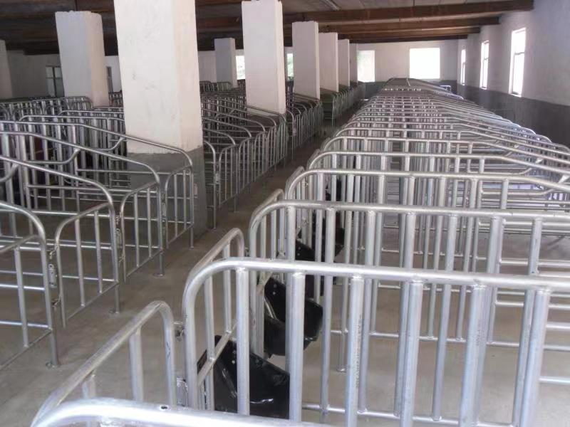 为什么兴办规模化猪场要进行可行性论证？