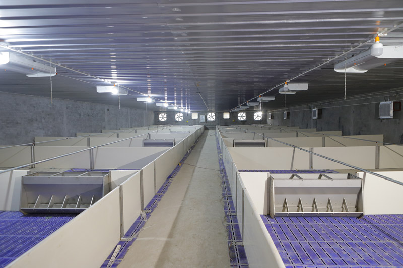 1678254345683956.jpg 20210728090917801.jpg