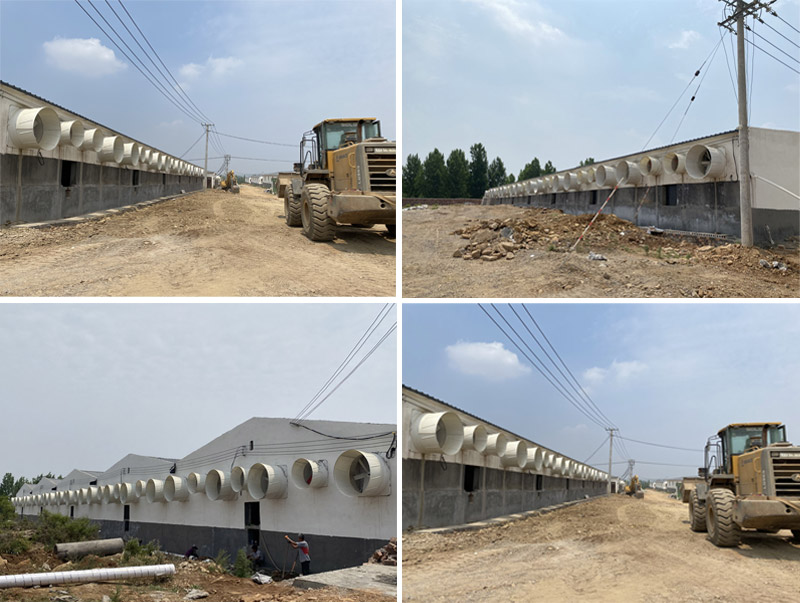 1678254362486063.jpg 20210728085724322.jpg