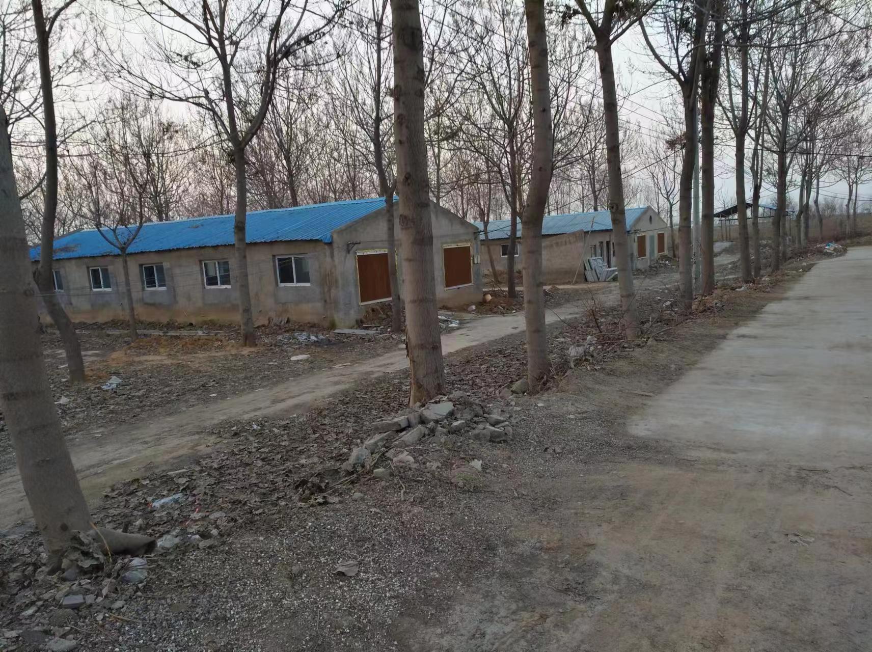 1679550819558193.jpg 489b6b9704c0bff8b457c96802c4139.jpg