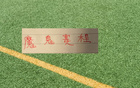 第18轮补赛 申花跟北京国安比赛在18号 海港是19号