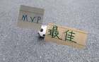 中超官方一口气！公布21-23轮最佳球员候选人 申花只有拉唐入围 隔壁海港有2人